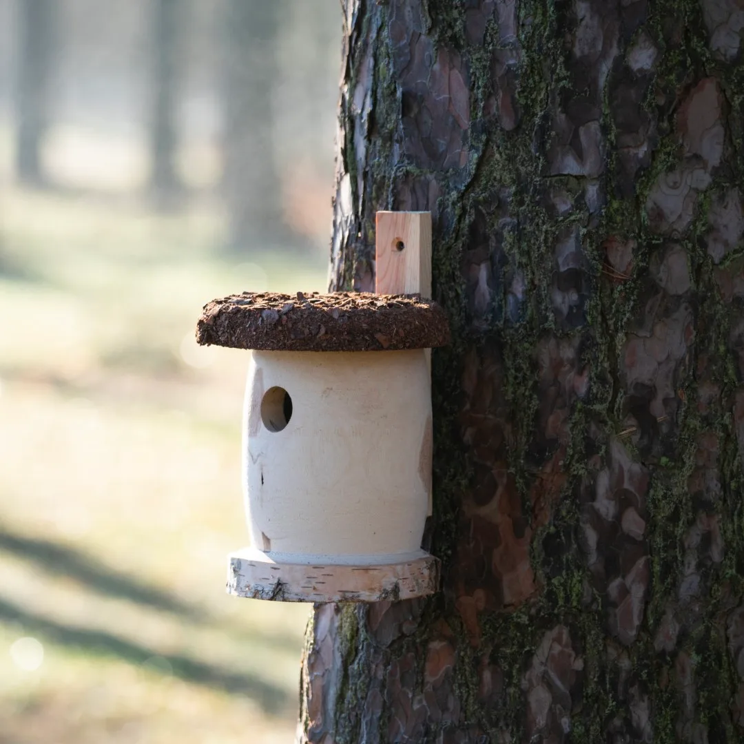 BUDKA LĘGOWA - obrazek 7