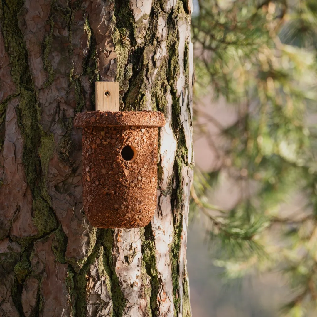 BUDKA LĘGOWA - obrazek 7