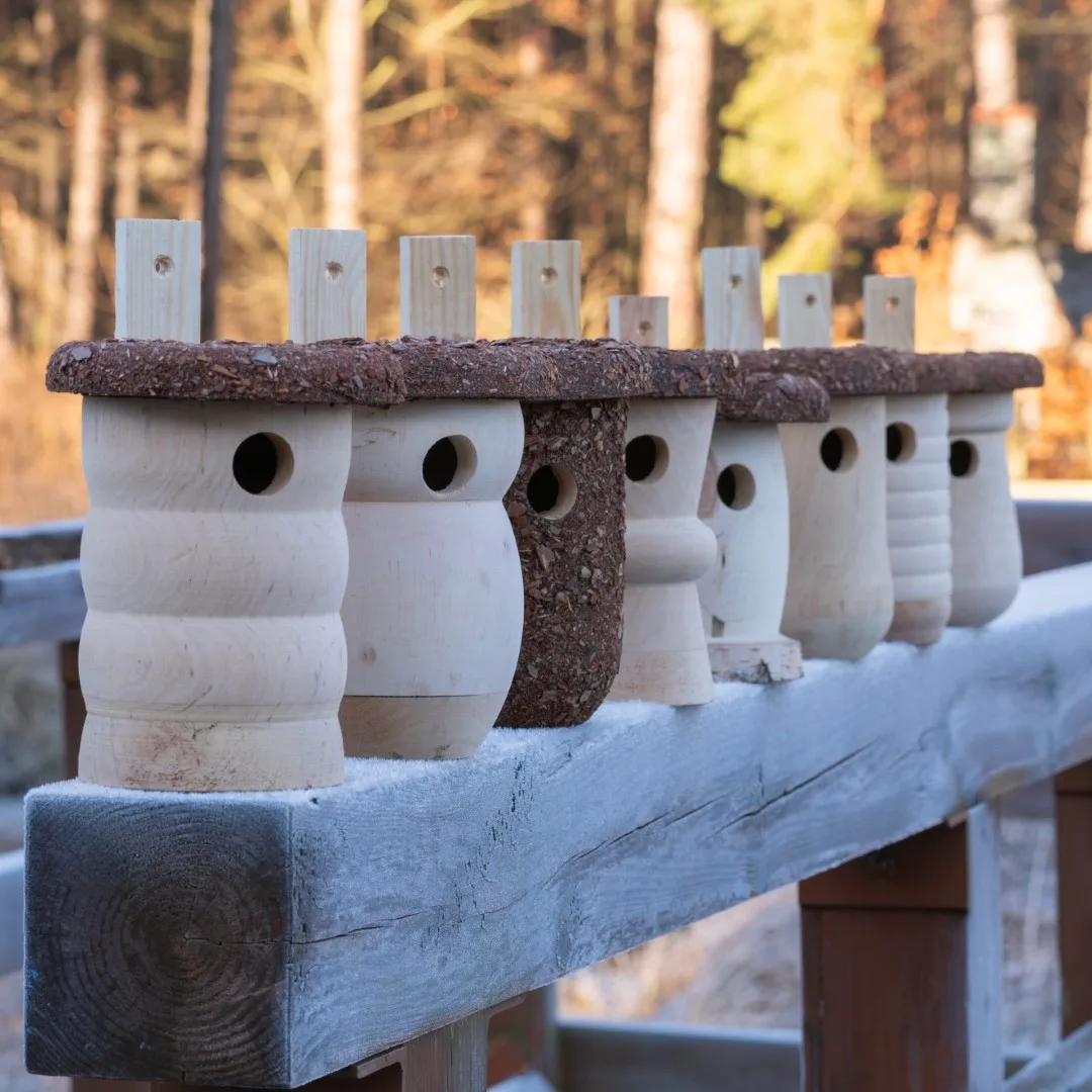 BUDKA LĘGOWA - obrazek 10