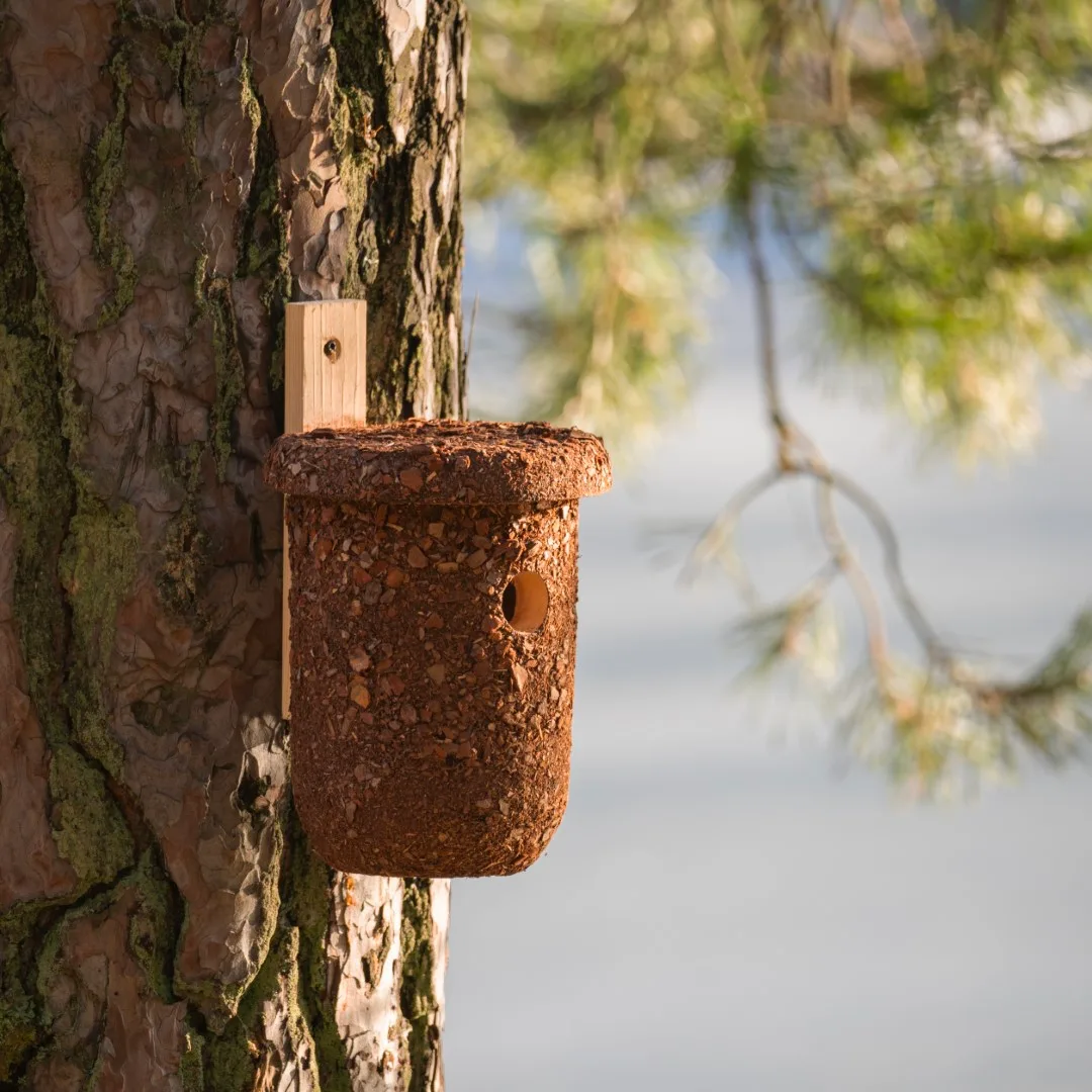 BUDKA LĘGOWA - obrazek 8