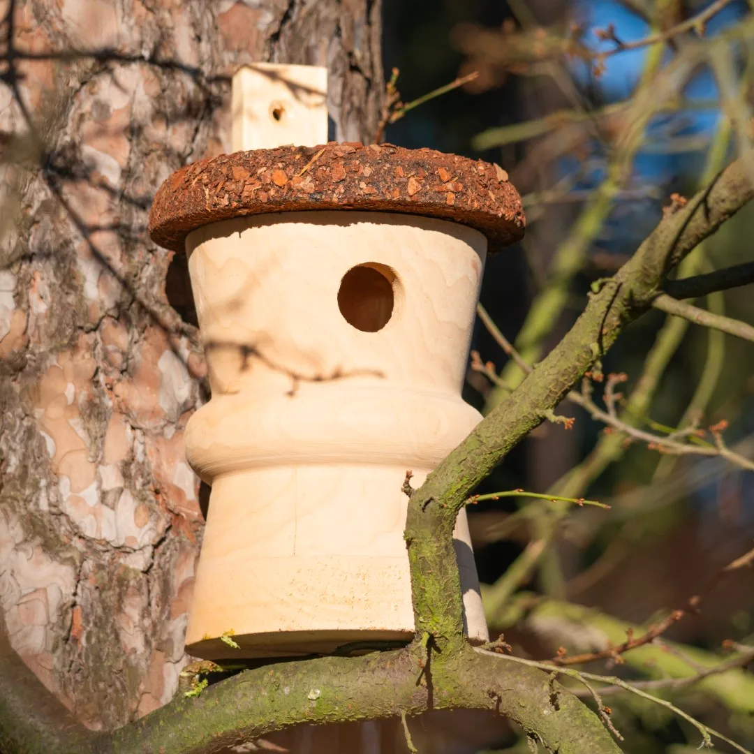 BUDKA LĘGOWA - obrazek 6