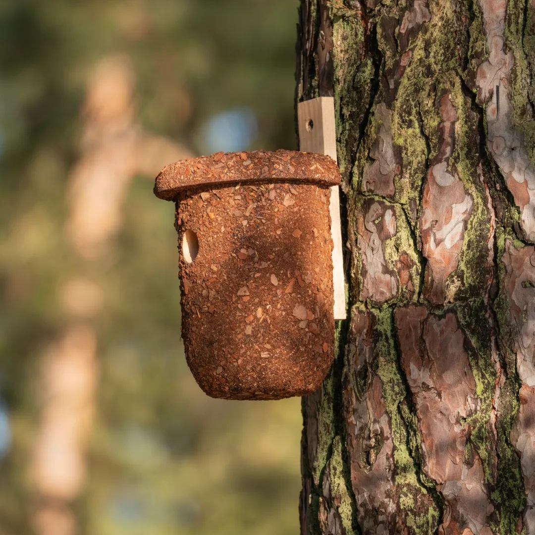 BUDKA LĘGOWA - obrazek 9