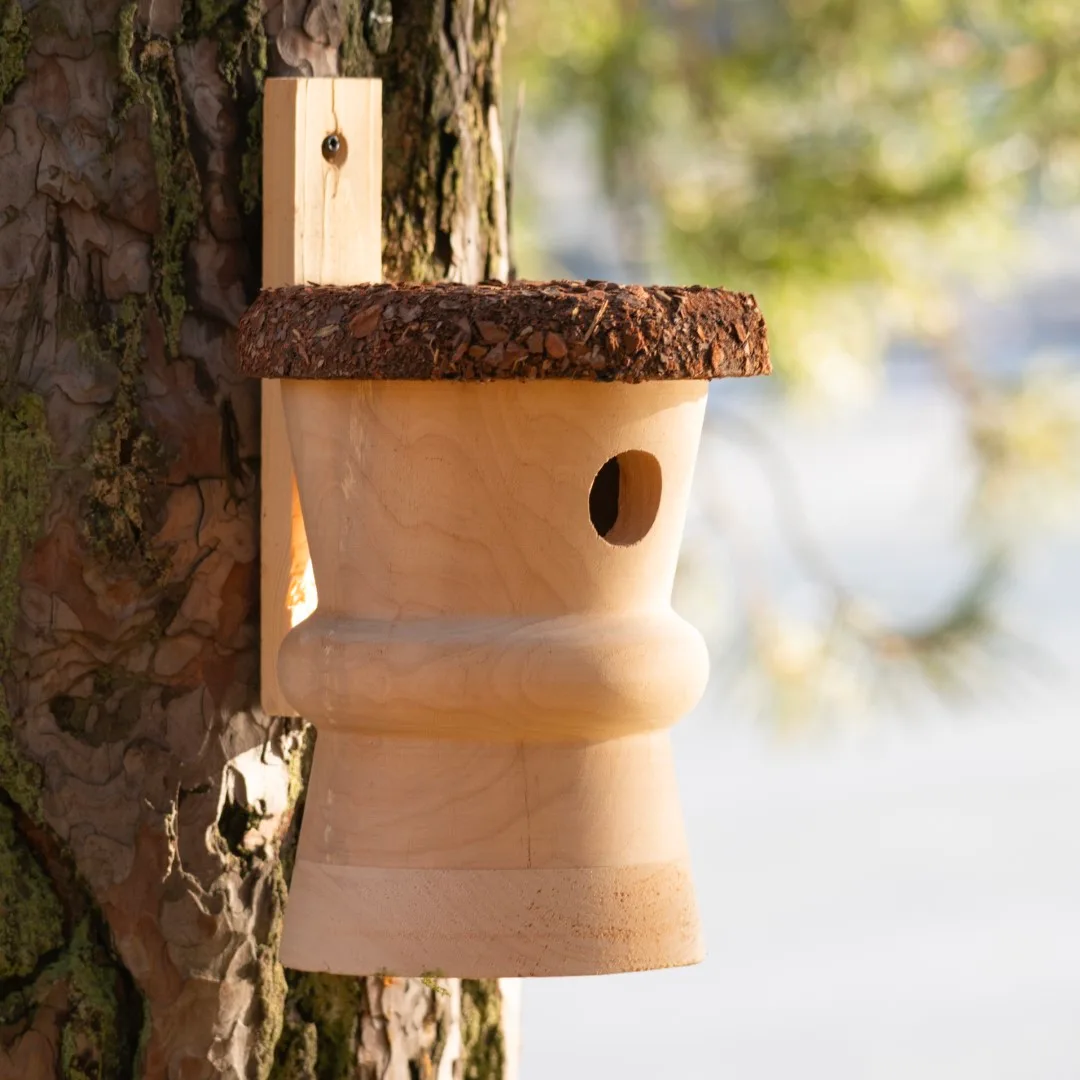 BUDKA LĘGOWA - obrazek 8