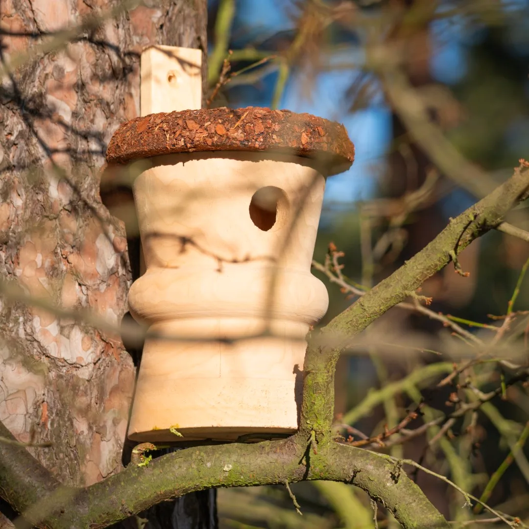 BUDKA LĘGOWA - obrazek 7