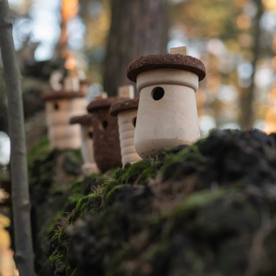 BUDKA LĘGOWA - obrazek 9