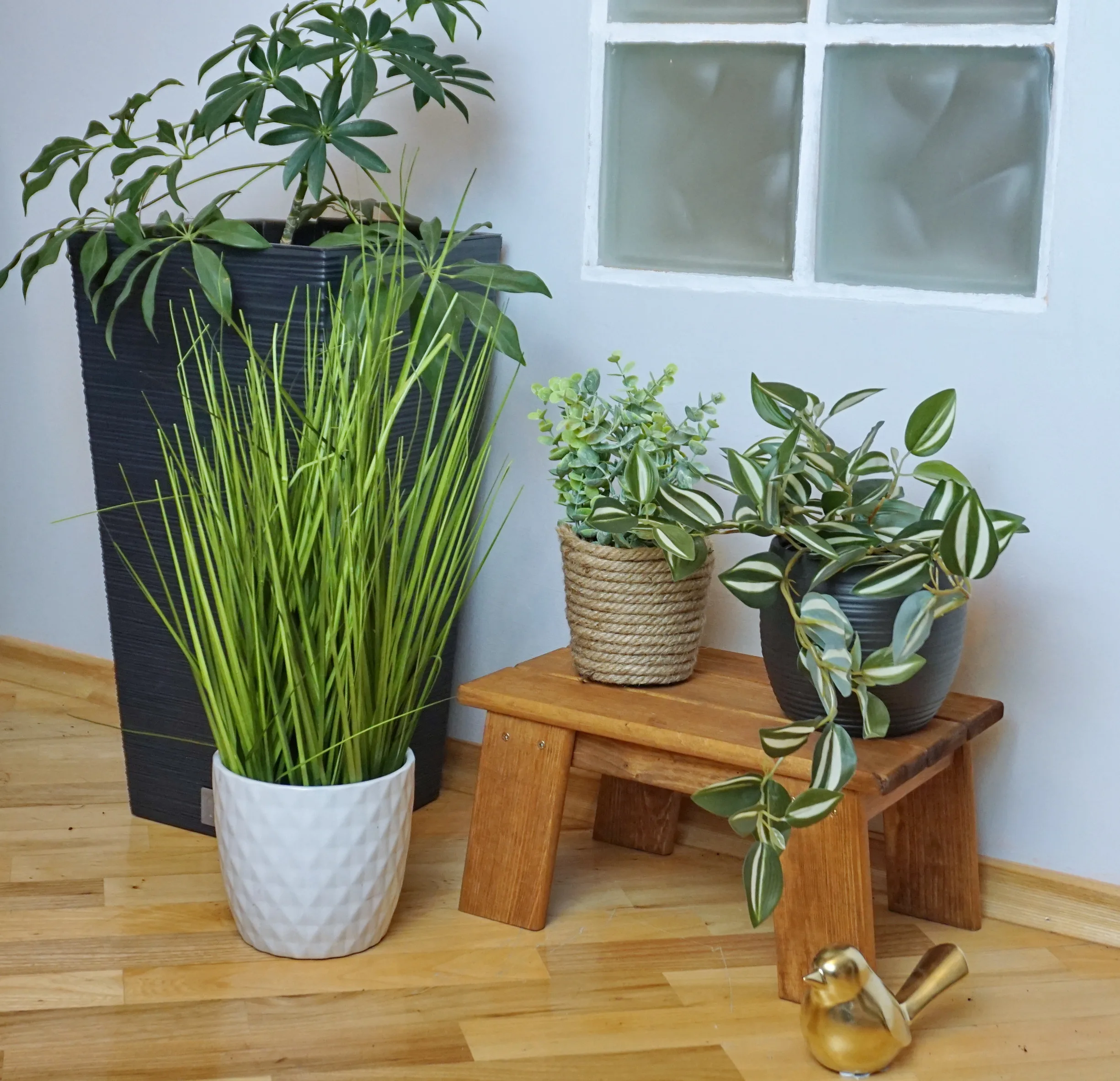 STOŁECZEK MAŁY - obrazek 10