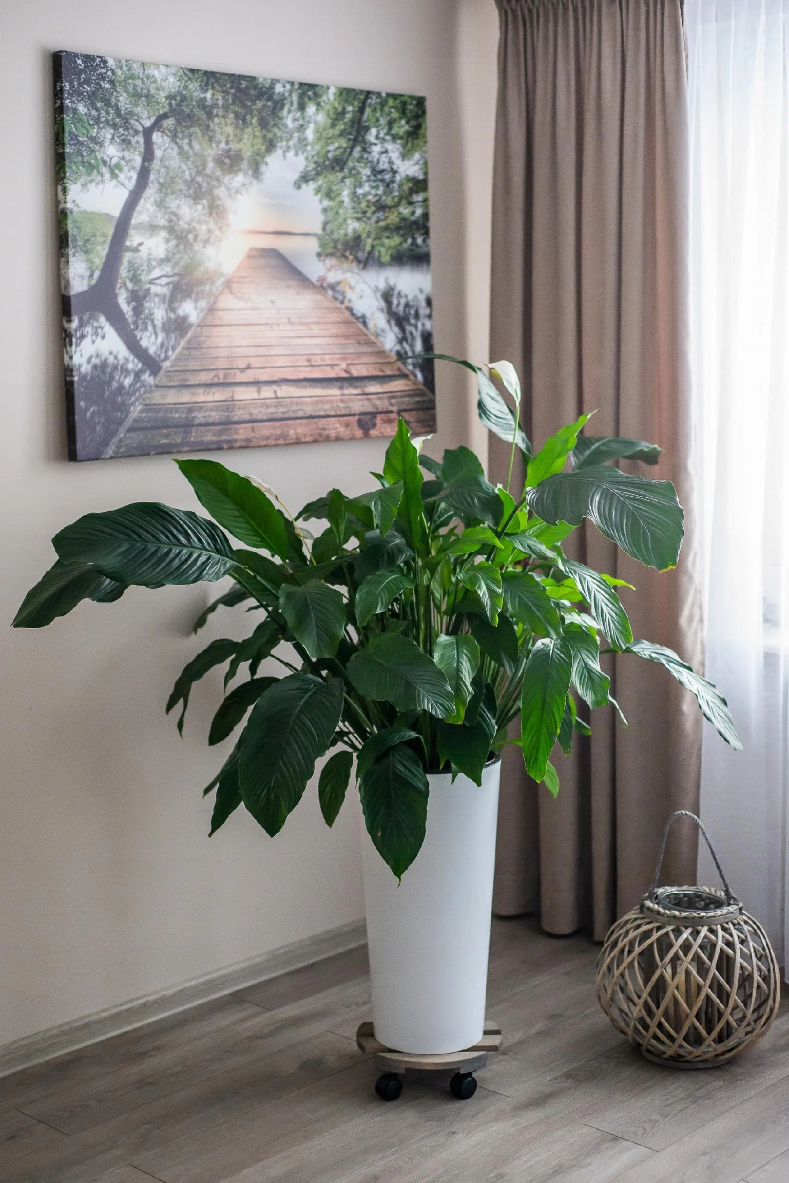 PODSTAWKA POD DONICZKĘ NA KÓŁKACH - obrazek 9