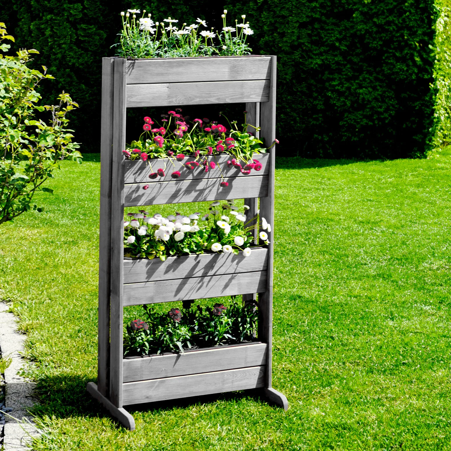 KWIETNIK PIONOWY - obrazek 2