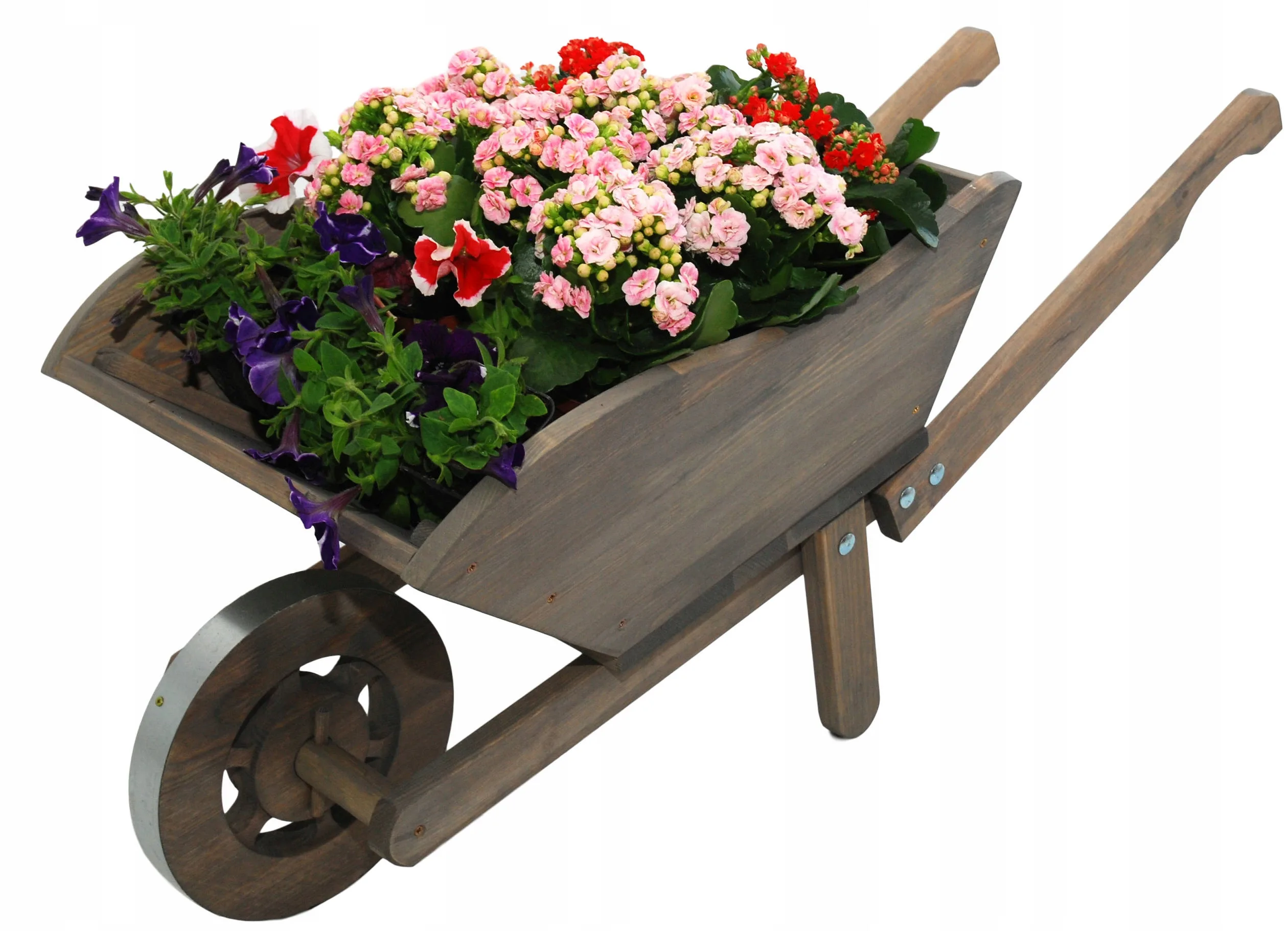 KWIETNIK TACZKA MAŁA