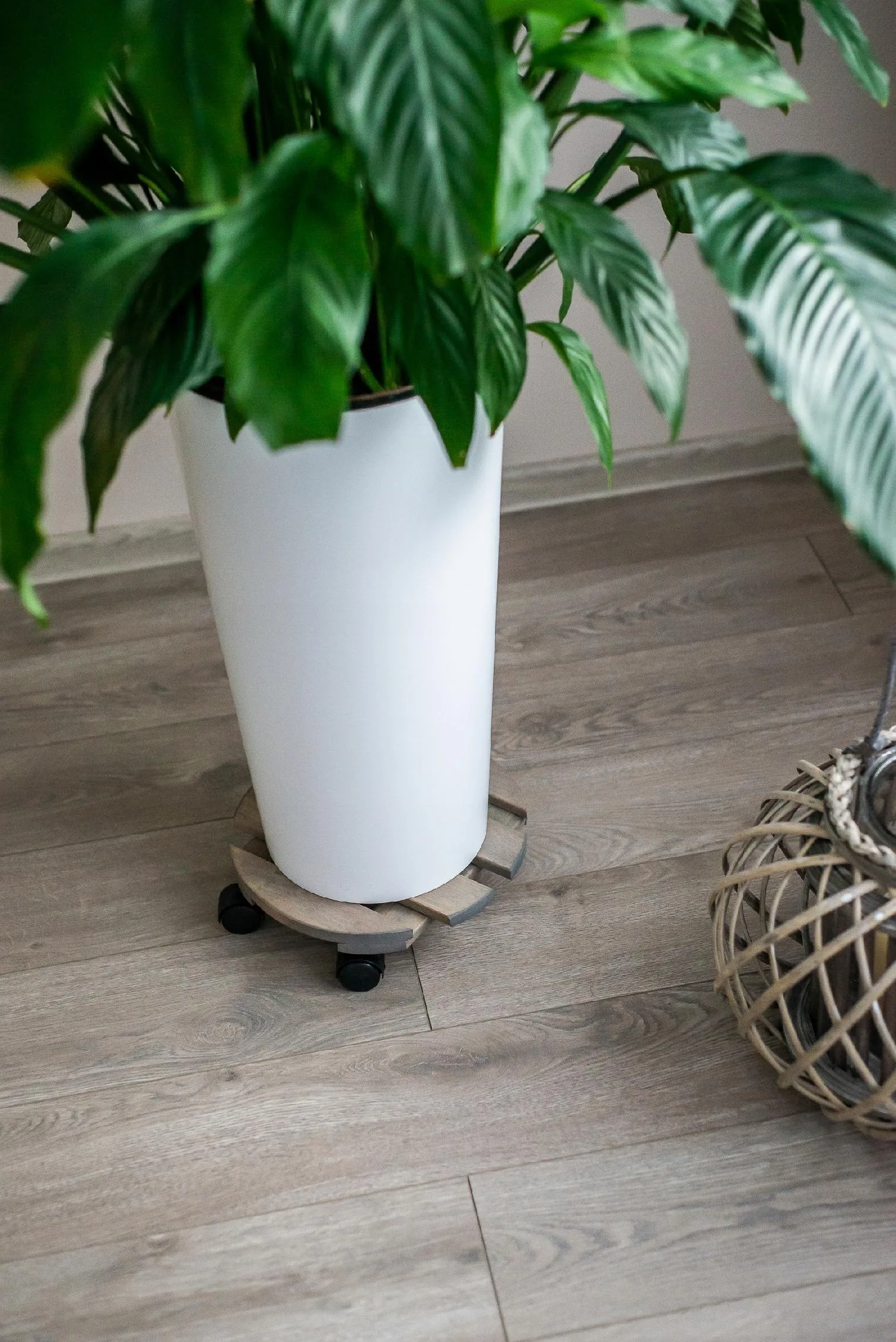 PODSTAWKA POD DONICZKĘ NA KÓŁKACH - obrazek 5