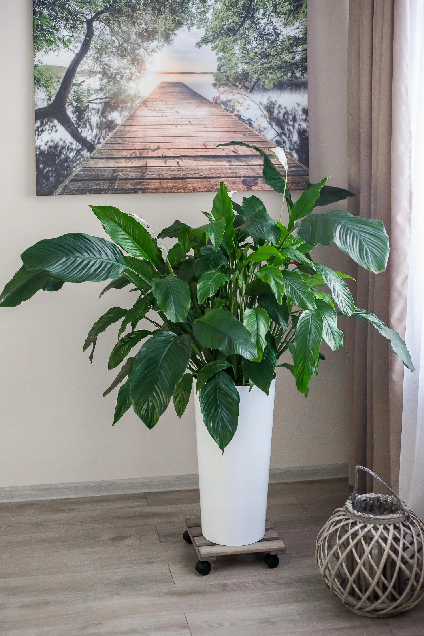 PODSTAWKA POD DONICZKĘ NA KÓŁKACH - obrazek 6