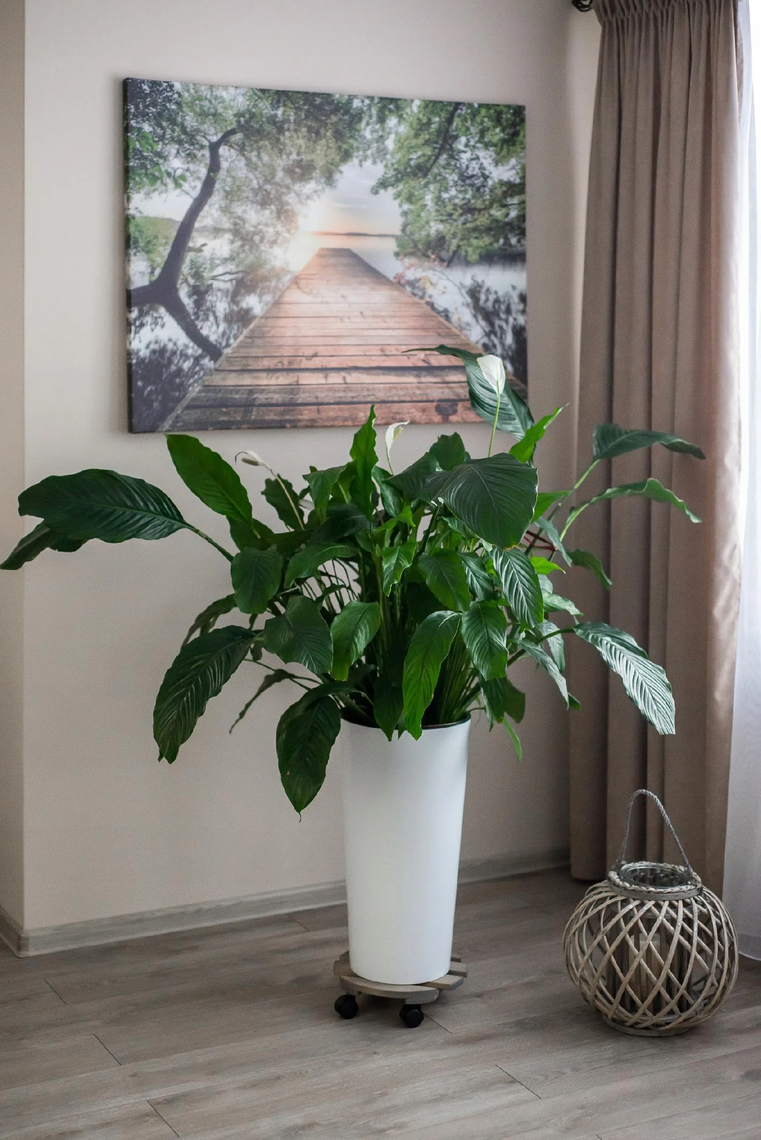 PODSTAWKA POD DONICZKĘ NA KÓŁKACH - obrazek 7