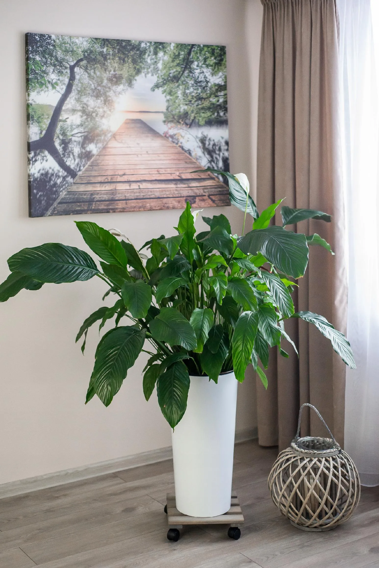 PODSTAWKA POD DONICZKĘ NA KÓŁKACH - obrazek 3