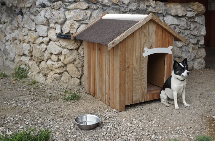 BUDA DLA PSA S - obrazek 2