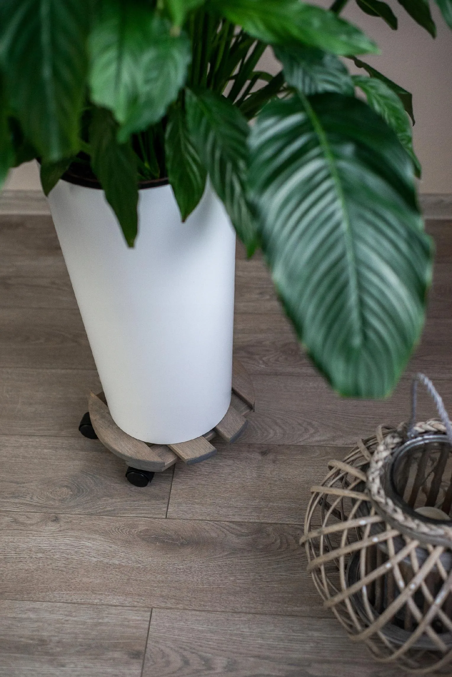 PODSTAWKA POD DONICZKĘ NA KÓŁKACH - obrazek 8