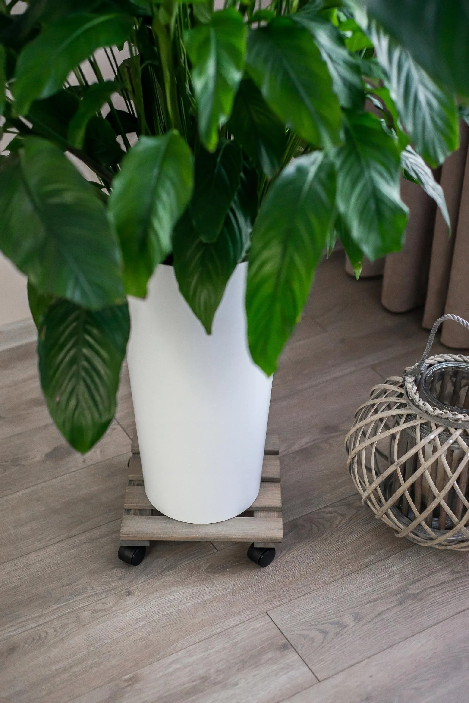 PODSTAWKA POD DONICZKĘ NA KÓŁKACH - obrazek 4