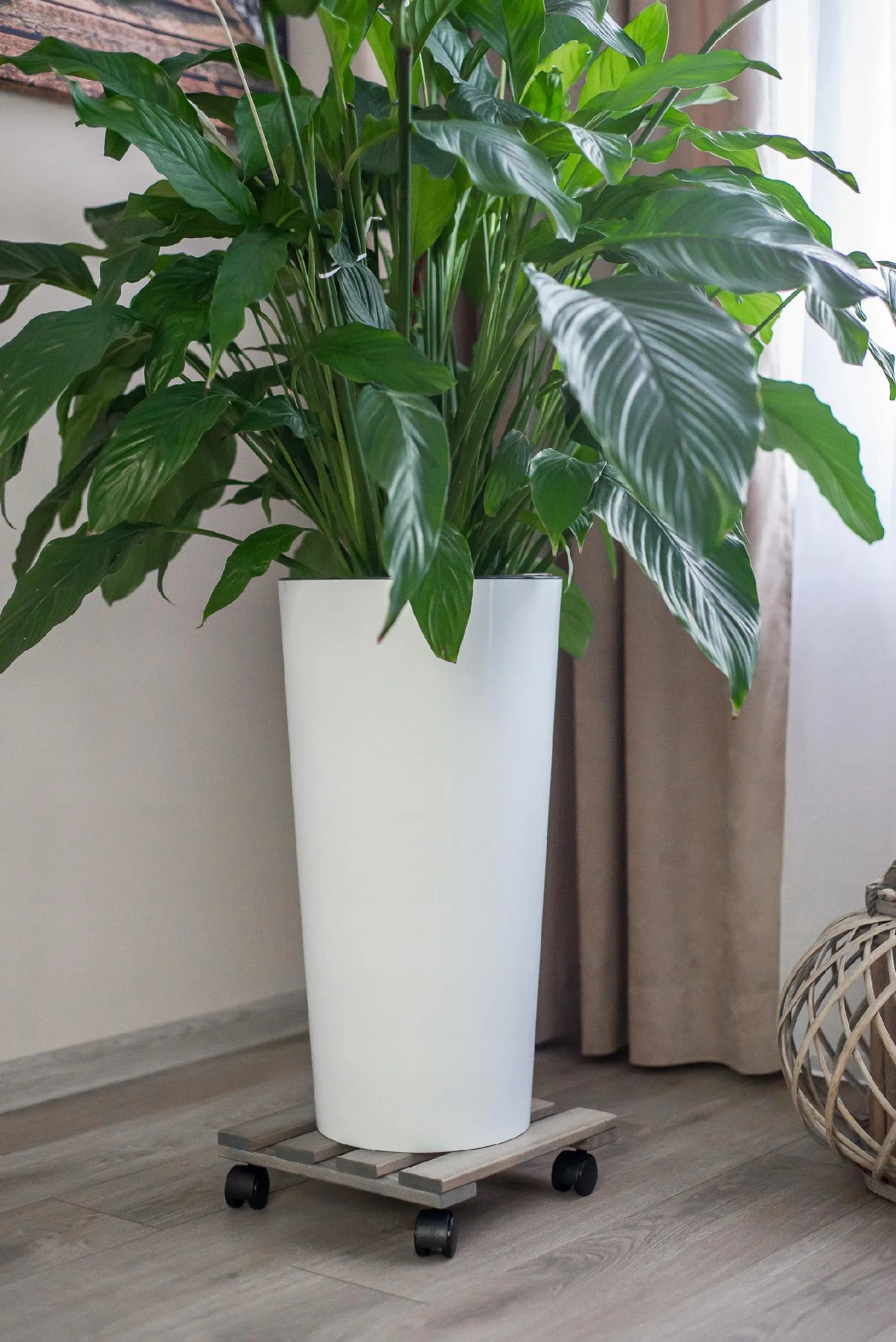 PODSTAWKA POD DONICZKĘ NA KÓŁKACH - obrazek 5