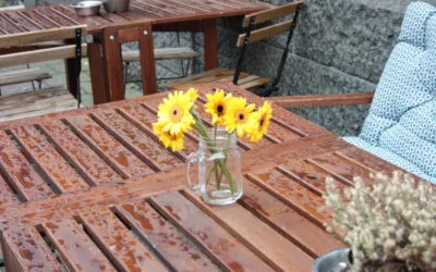 Meble do ogrodu: Jakie drewno wybrać?